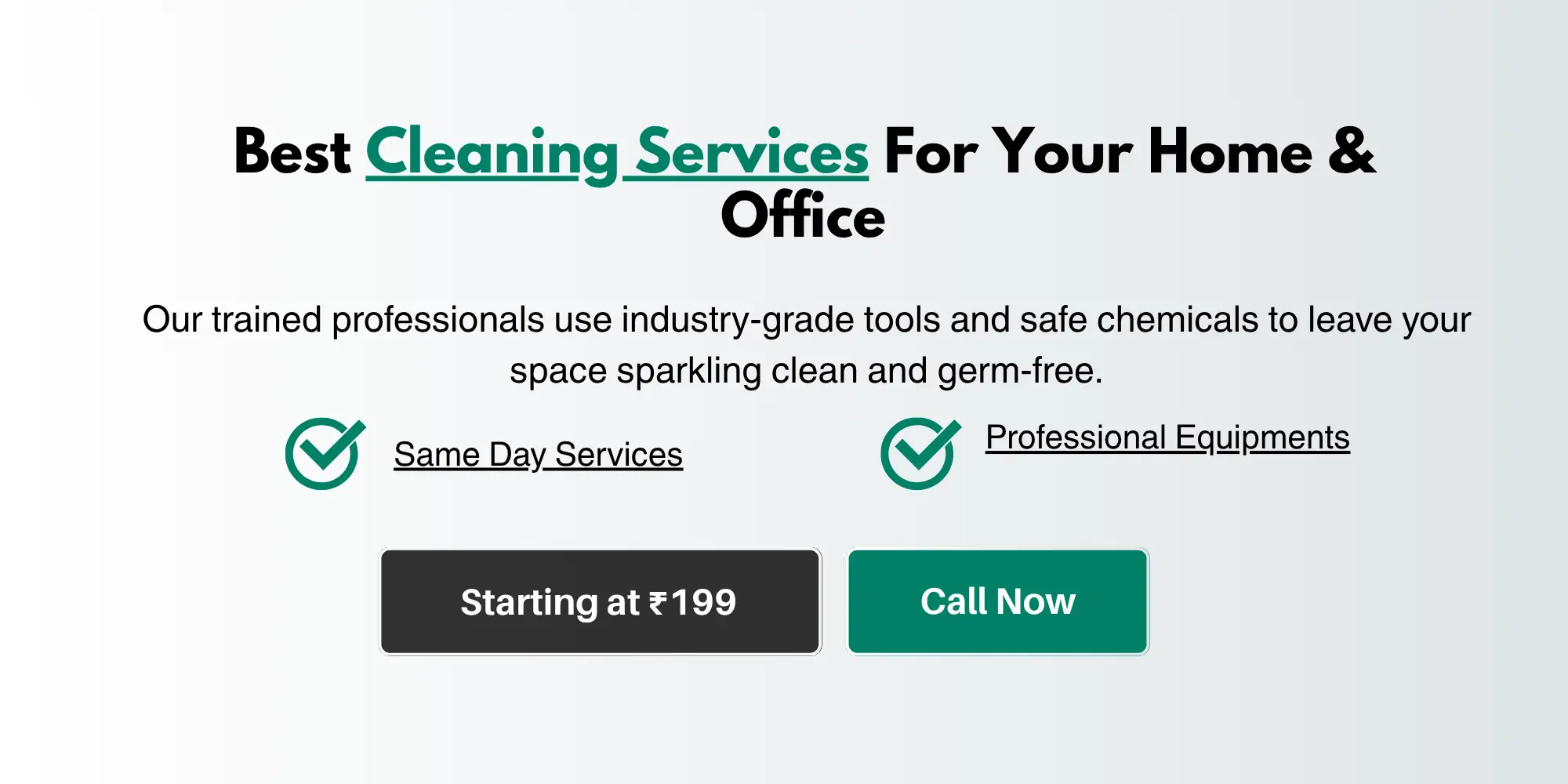 Professional Cleaning Services